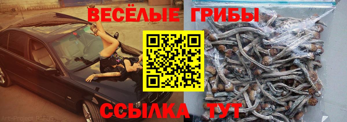 Псилоцибиновые грибы ЛСД  Вход с VPN  хочу   Клин 
